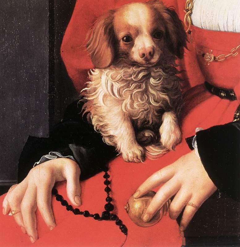  Portrait of a Lady with a Puppy (detail) fg